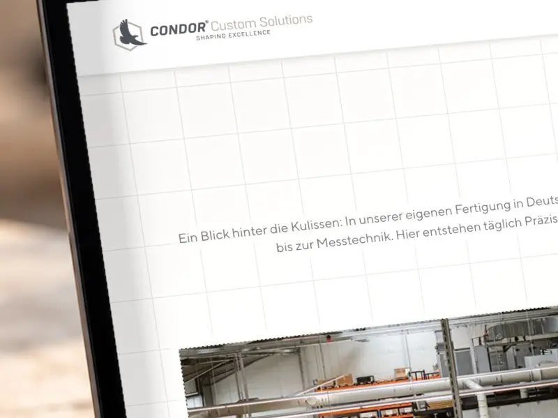 Screenshot des Millimeterpapier-Rasters mit technischen Zeichnungen im Hintergrund