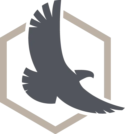 Logo Condor® Custom Solutions